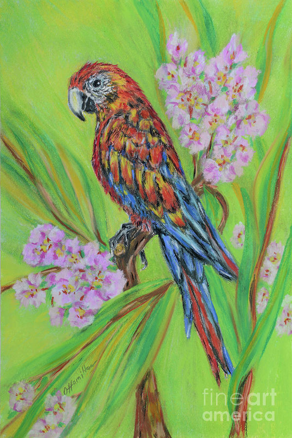 Macaw In Flowers Pastel by Olga Hamilton