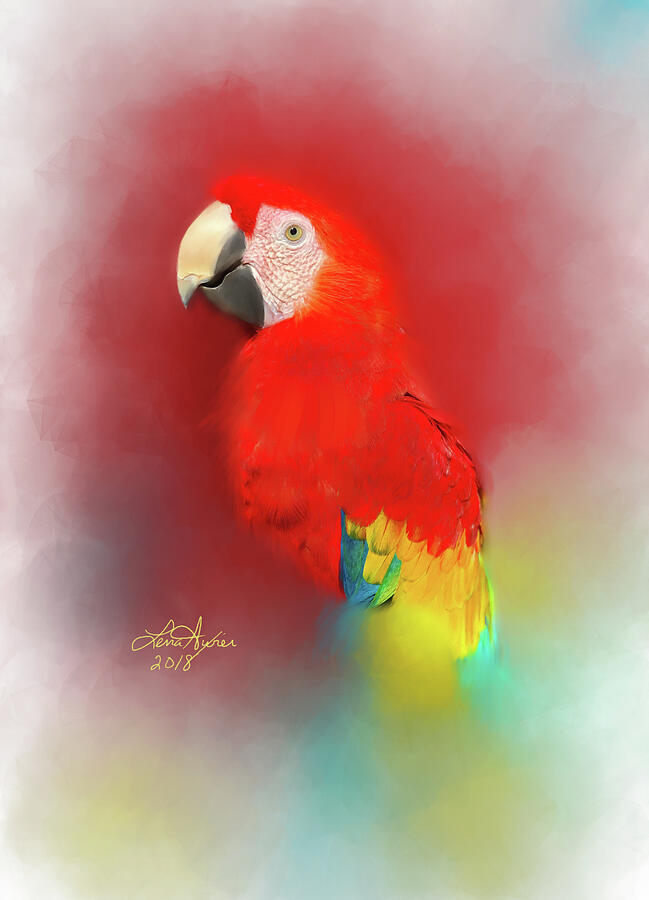 Macaw Digital Art by Lena Auxier