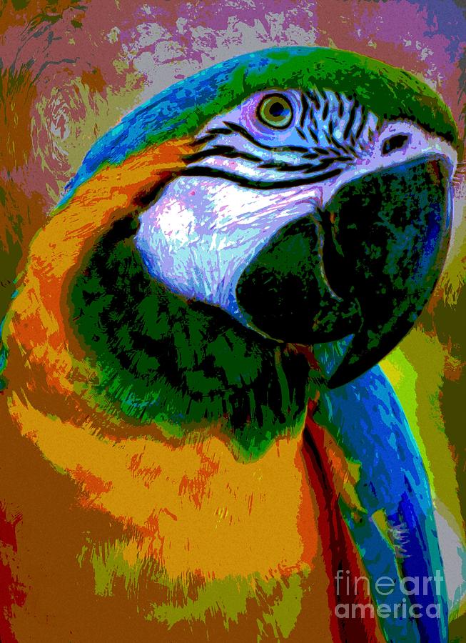 Macaw Of Color Painting