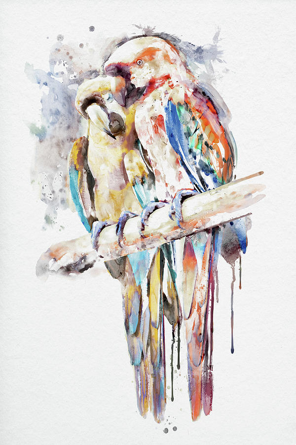 Bird Painting - Macaw Parrot Couple by Marian Voicu