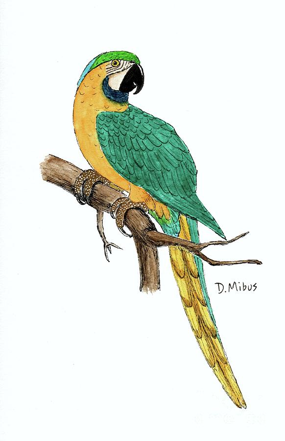 Macaw Parrot Day 1 Challenge Painting by Donna Mibus