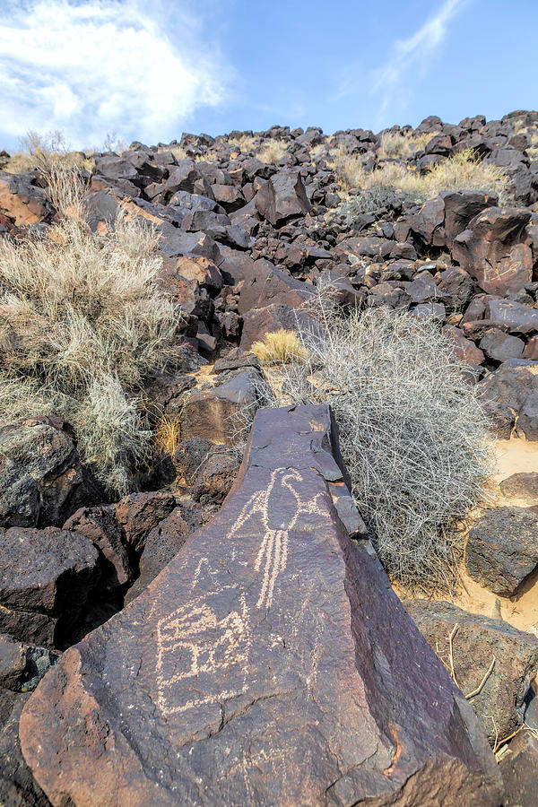 Macaw Petroglyph - Petroglyph National Monument - Albuquerque NM Photograph by Susan Rissi Tregoning