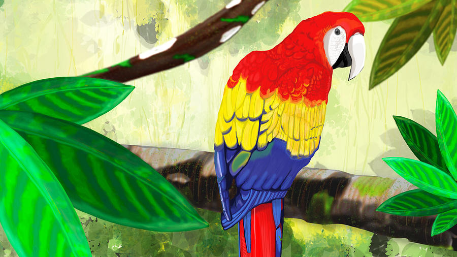 Macaw Digital Art by Rose Lewis
