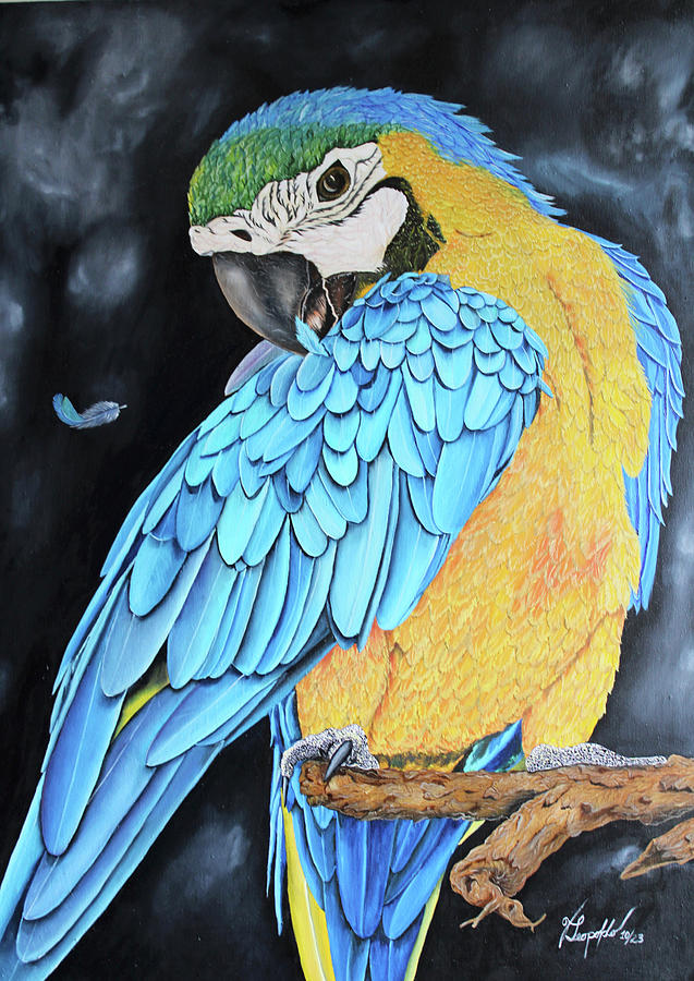 Macaw sees a feather Painting by Jleopold Jleopold