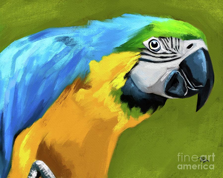 Macaw Painting by Tammy Lee Bradley