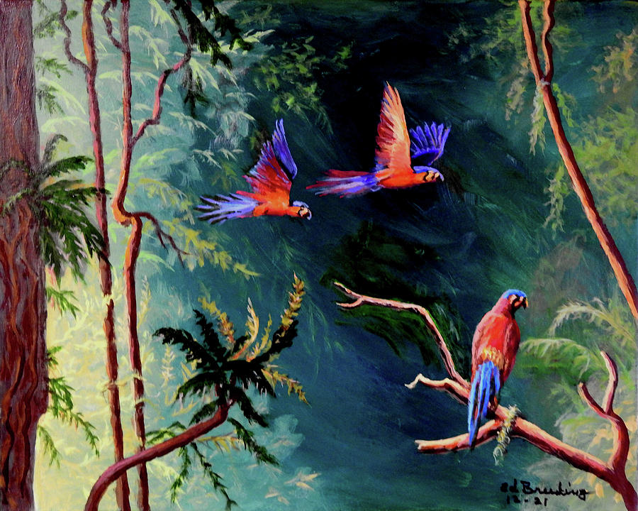 Macaws Painting by Ed Breeding