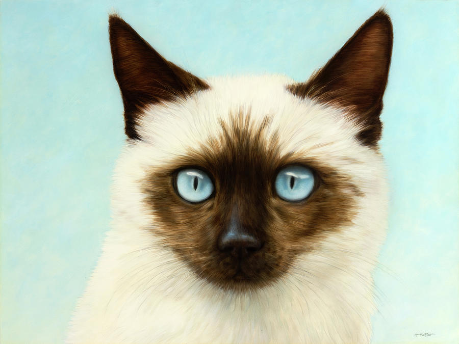Cat Painting - Machka by James W Johnson