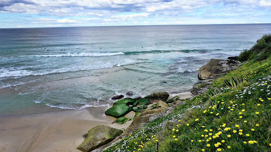 Tamarama Beach And Surfers Australia Photograph By Waterdancer