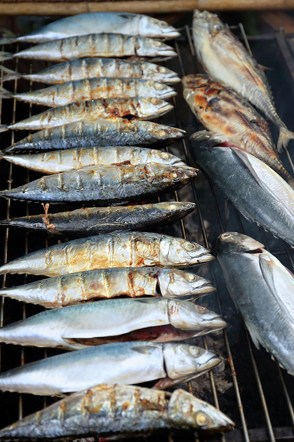 Mackerel fish fried on grill  Photograph by Mikhail Kokhanchikov
