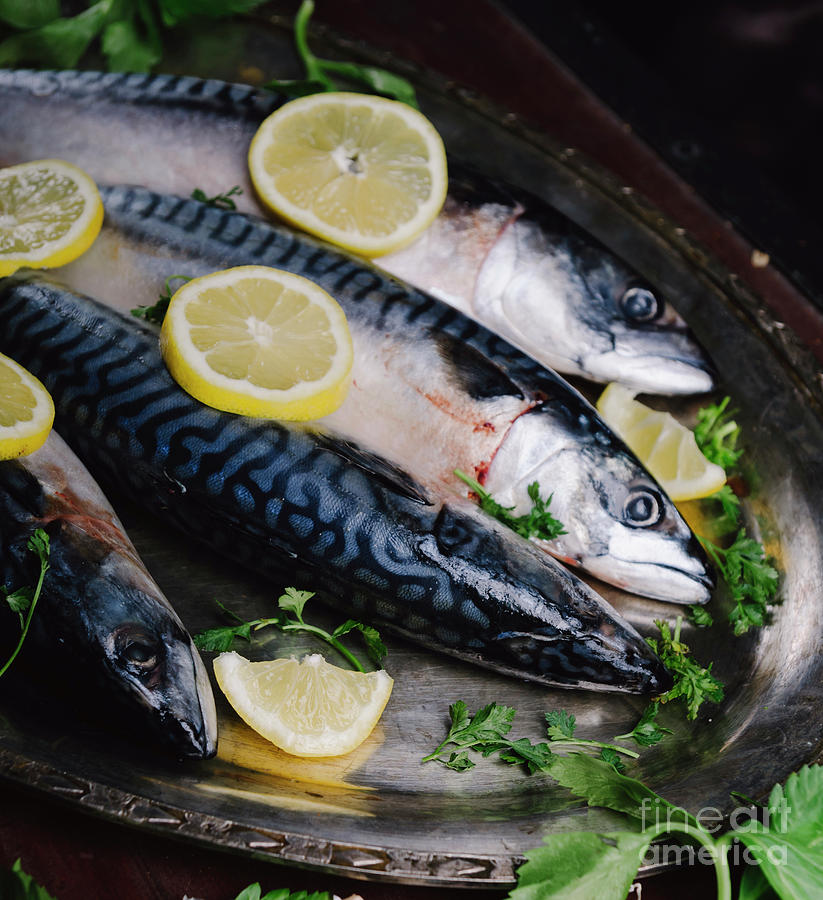 Mackerels On Silver Plate With Lemon Photograph
