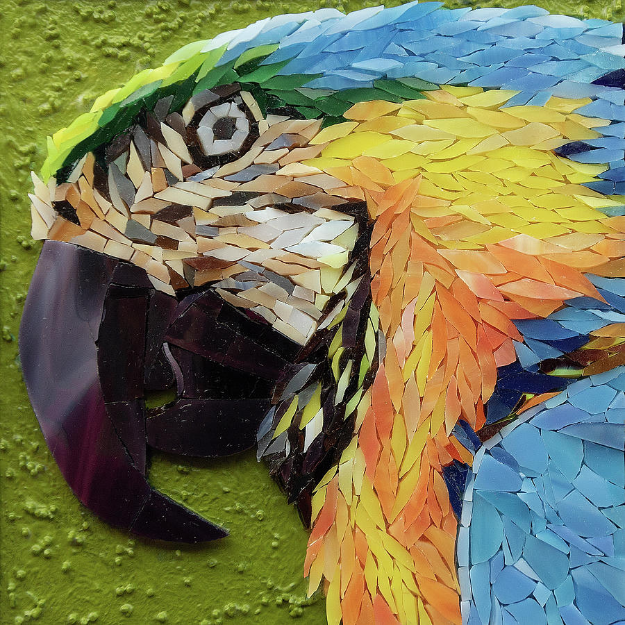 Mackey the Blue and Yellow Macaw Glass Art by Adriana Zoon