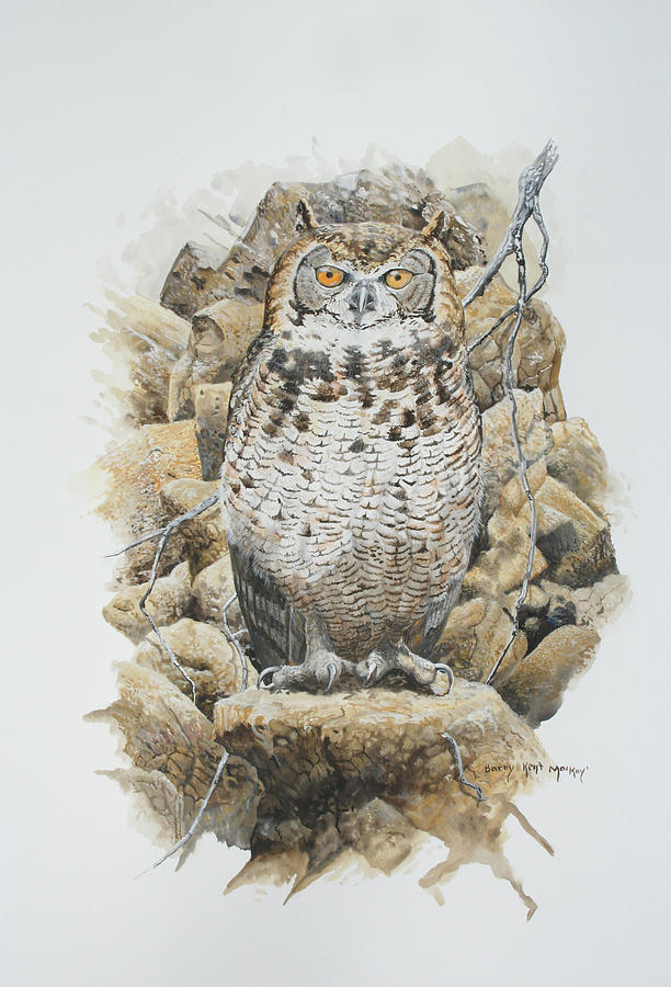 Mackinders Cape Eagle-Owl Painting by Barry Kent MacKay