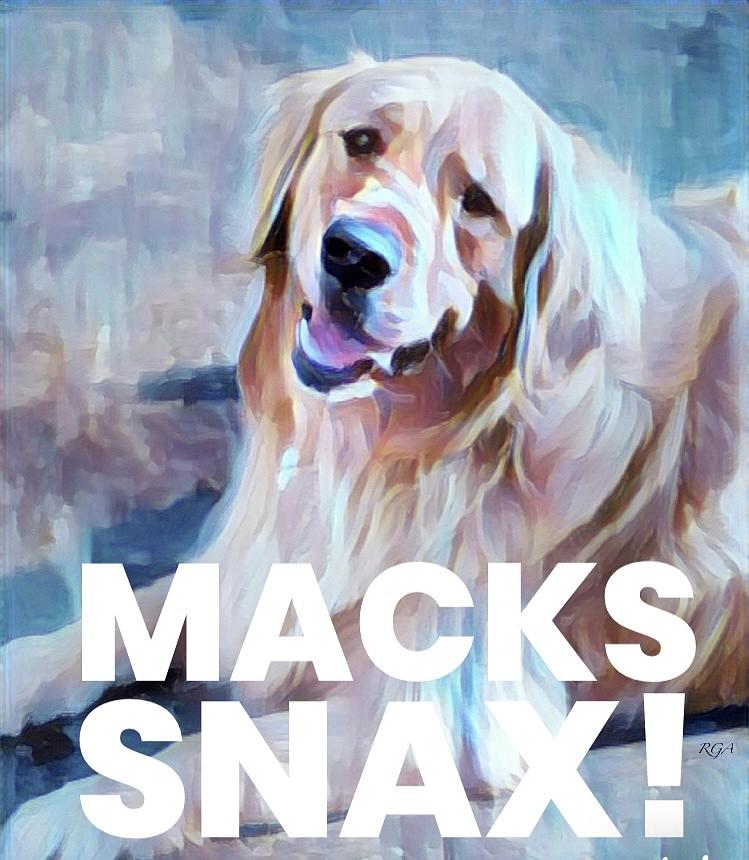 Macks Snax Mixed Media by YoMamaBird Rhonda