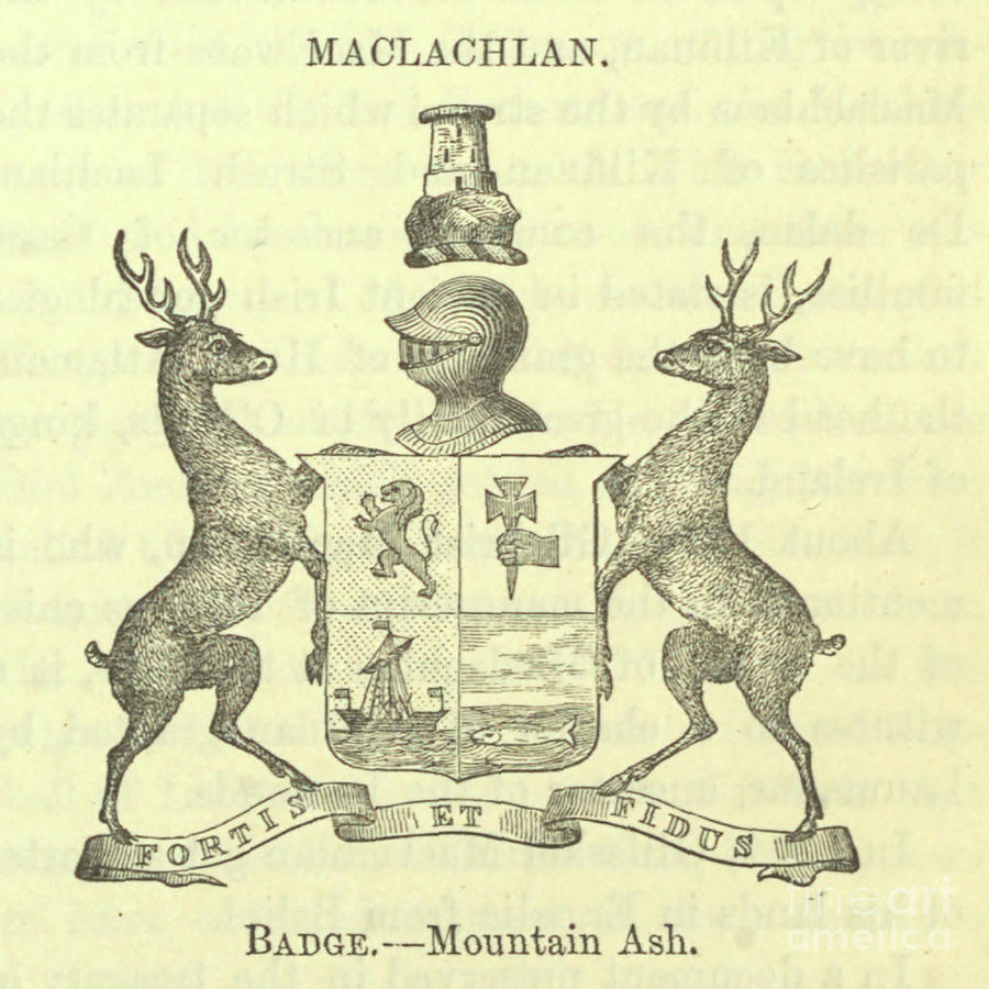 Maclachlan coat of arms, crest, and motto n1 Drawing by Historic