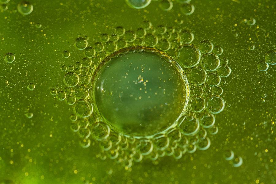 Macro Bubbles Photograph by Jean-Marc PAYET