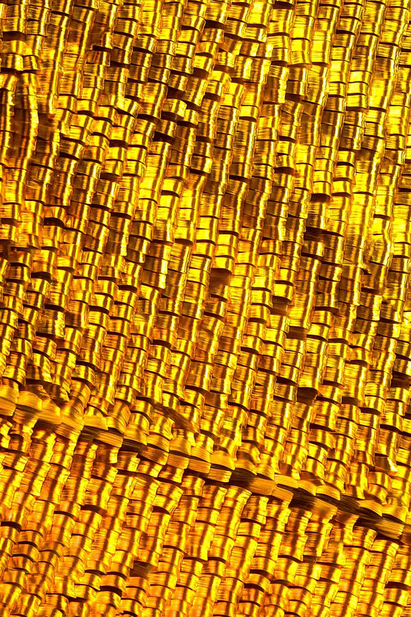 Macro. Gold Butterfly Wing  Photograph by World Art Collective