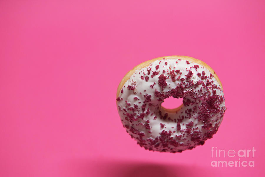 Macro Shoot Of Donut On Pink Photograph