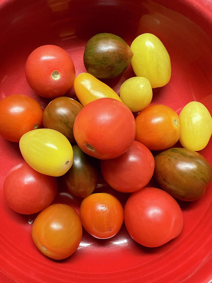Macro Tomatoes Photograph by Nancy Merkle
