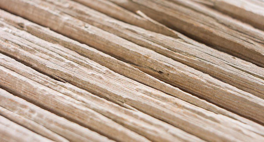 Macro very old wood texture Photograph by LagartoFilm