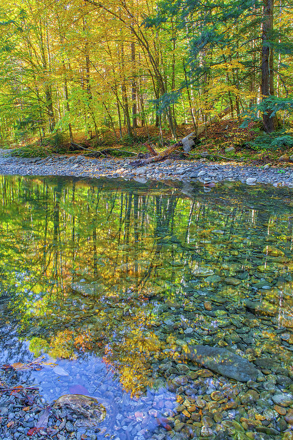 Mad River Vermont Fall Foliage Reflection Photograph by Juergen Roth