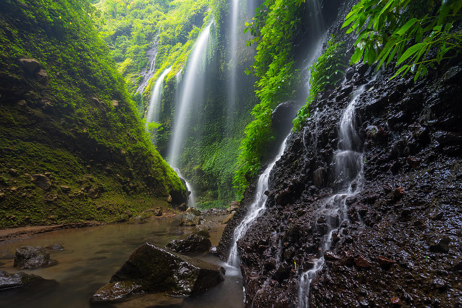 Madakaripura waterfall, attraction place of Probolinggo near Bromo volcano mountain, East Java, Indonesia Photograph by Punnawit Suwuttananun