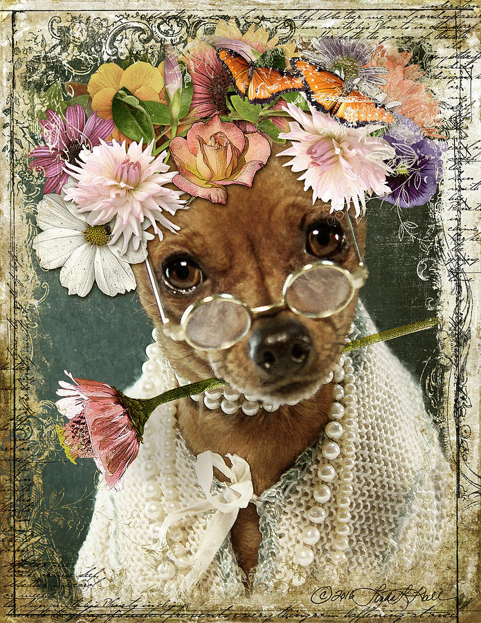 Flower Digital Art - Maddy in Her Good Pearls by Linda Lee Hall