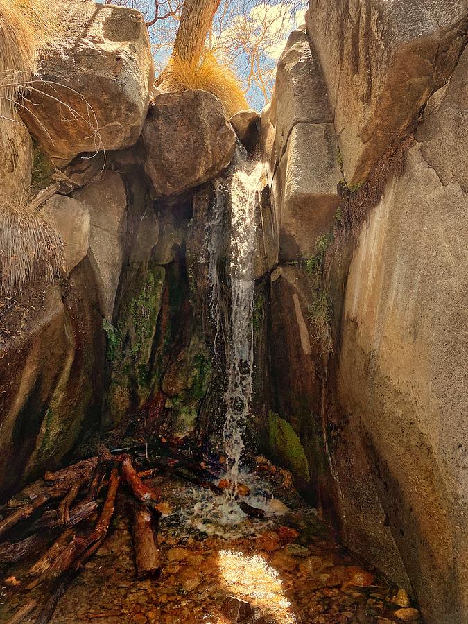 Madera Canyon Hidden Waterfall  Photograph by Jerry Abbott