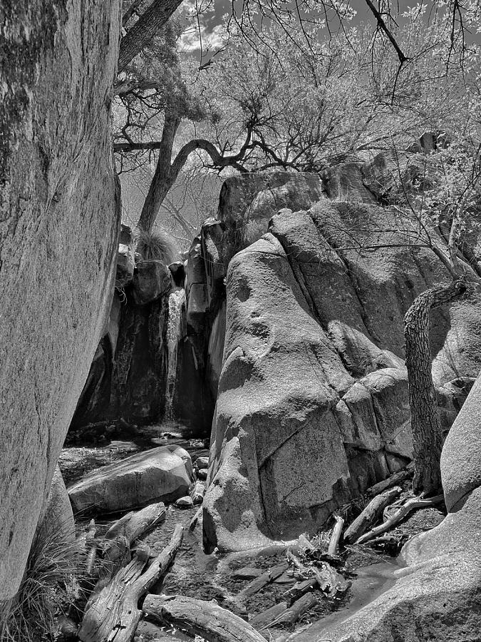 Madera Canyon Hidden Waterfalls Bw Photograph by Jerry Abbott