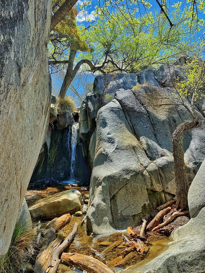 Madera Canyon Hidden Waterfalls  Photograph by Jerry Abbott