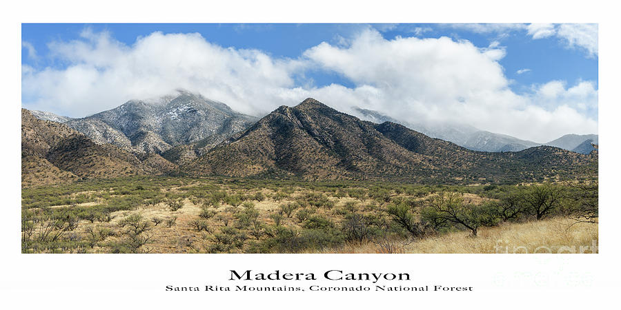 Madera Canyon Photograph by Lisa Manifold