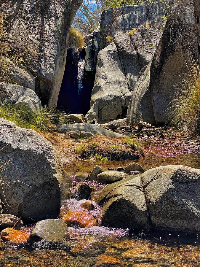 Proctor Falls of Madera Canyon Photograph by Jerry Abbott
