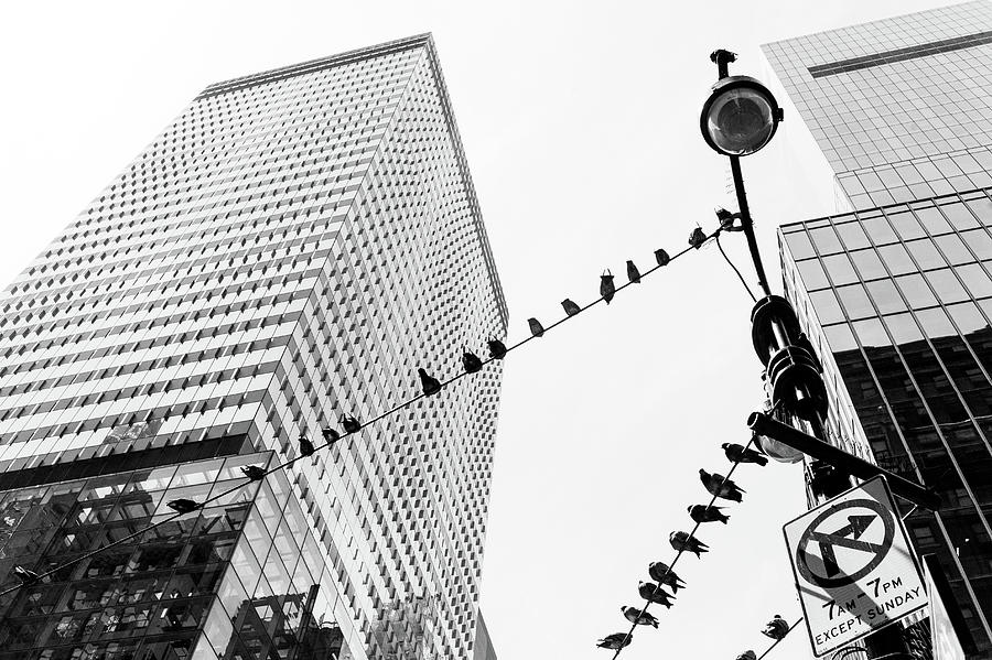 Madison Avenue, Manhattan Photograph by Eugene Nikiforov