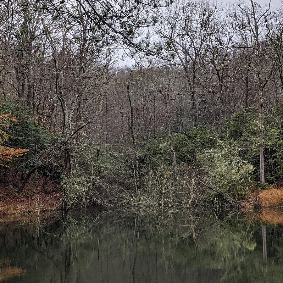 Madison Pond Photograph by Dan Strickland - Pixels