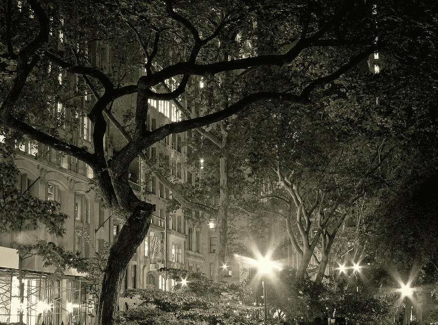 Madison Square Night Photograph by Eyes Of CC