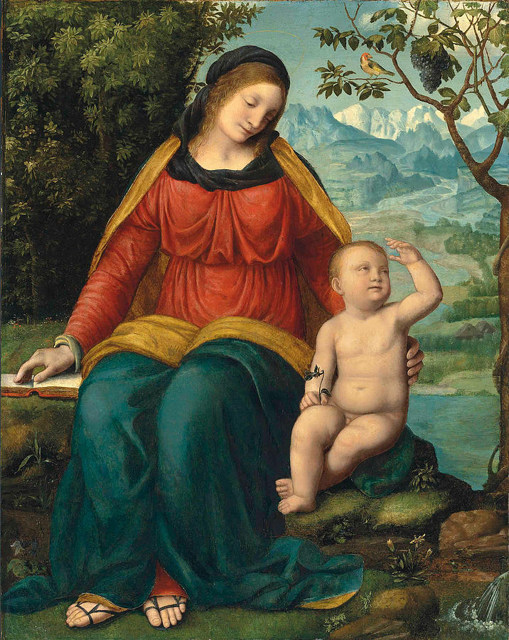 Madonna of the Grapevine  Painting by Bernardino Luini
