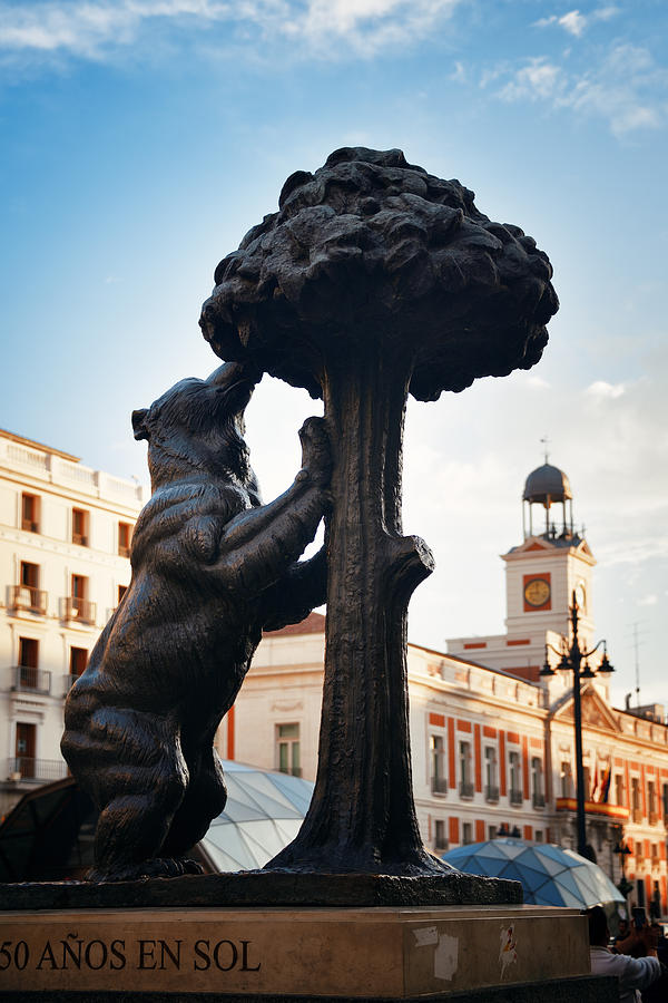 Madrid ear and Strawberry tree Photograph by Songquan Deng