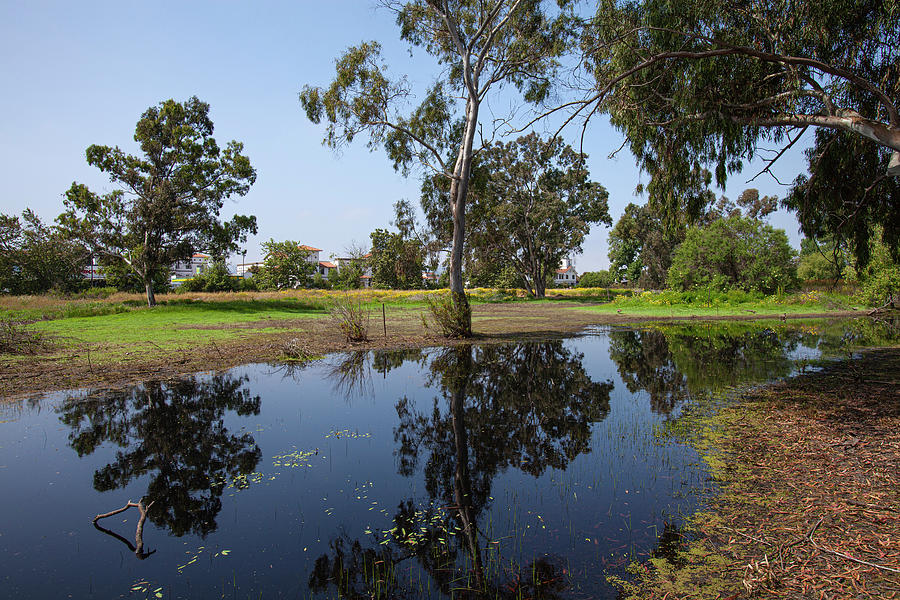 Torrance Photograph - Madrona Marsh Wetlands is a vernal freshwater marsh and is appro by Peter Bennett