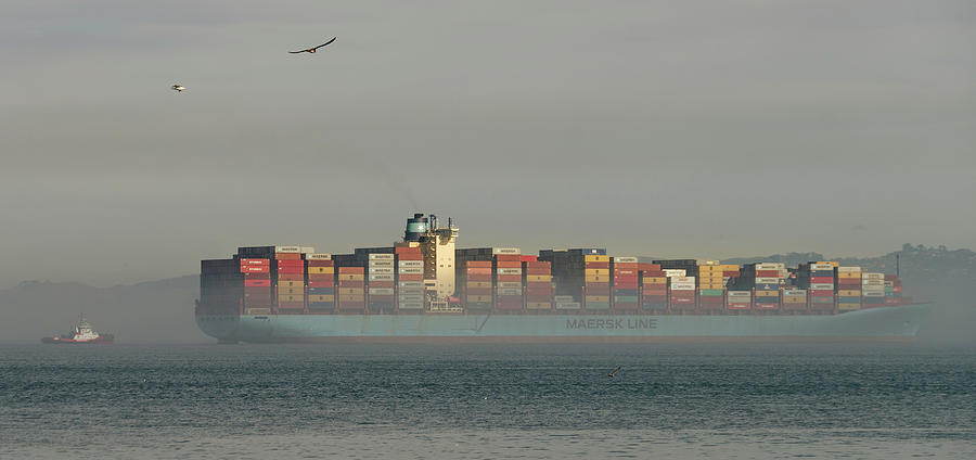 Maersk Line Photograph by Betty Depee