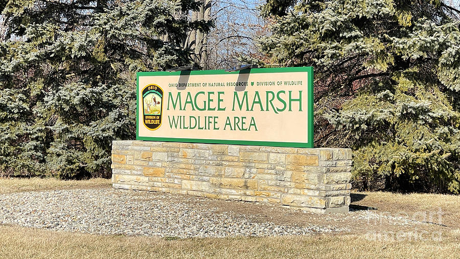 Magee Marsh Wildlife Area Sign 5586 Photograph by Jack Schultz