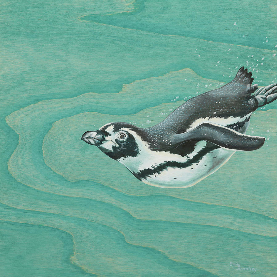 Penguin Painting - Magellanic Penguin by Emily Brantley
