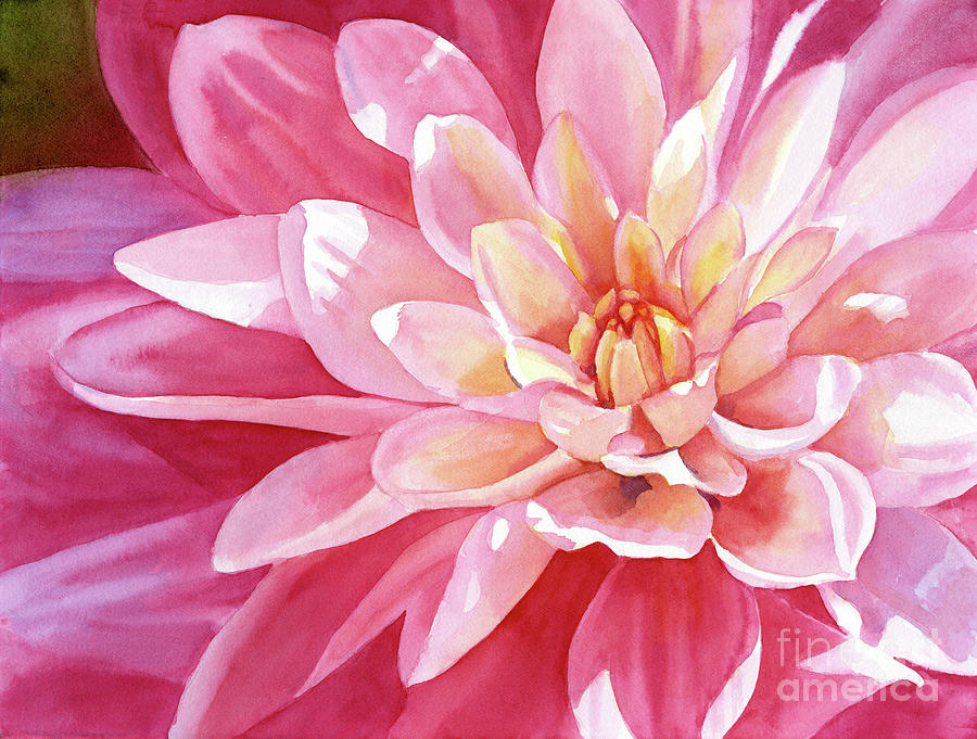 Peach Painting - Magenta and Peach Colored Dahlia Close up by Sharon Freeman