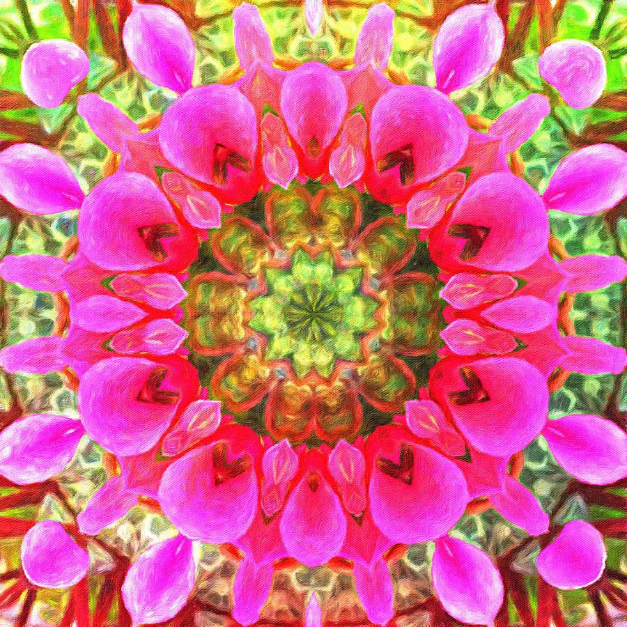 Nature Digital Art - Magenta Mandala of Flower Petals by Pamela Storch