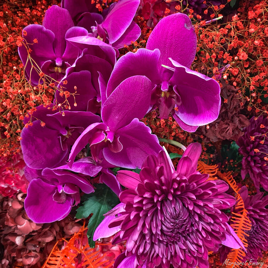 Flower Photograph - Magenta Melange Square by Margaret Emory Design