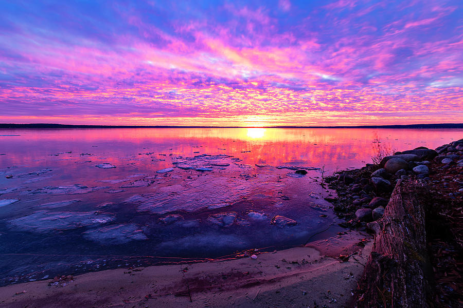 Magenta Sunrise Photograph by Joe Holley