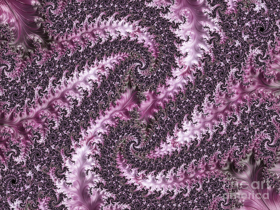 Magenta Swirl Digital Art by Elisabeth Lucas - Fine Art America