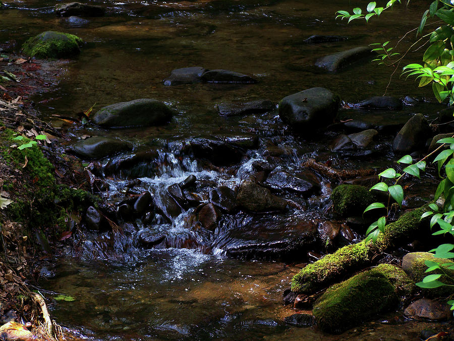 Creek Photograph - Maggie Valley stream 01 by Flees Photos