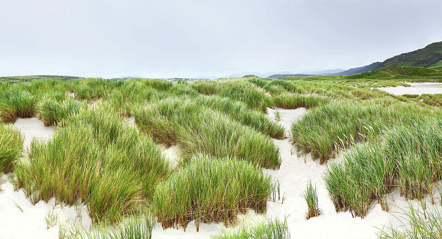 Maghera Beach Sand Dunes Ireland #3 Photograph by Lexa Harpell