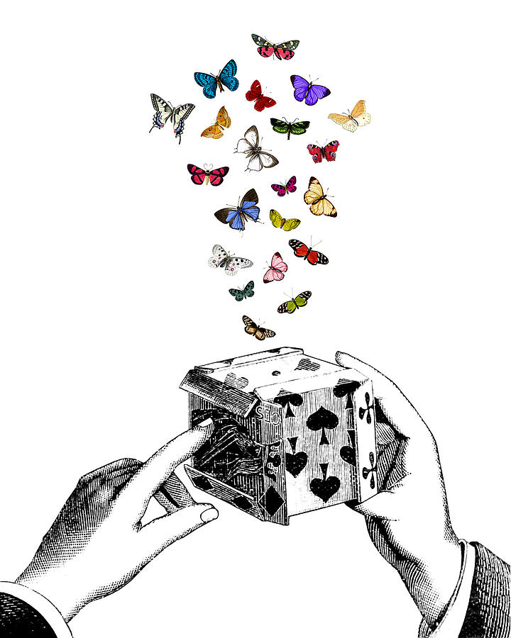 Butterfly Digital Art - Magic Box by Madame Memento