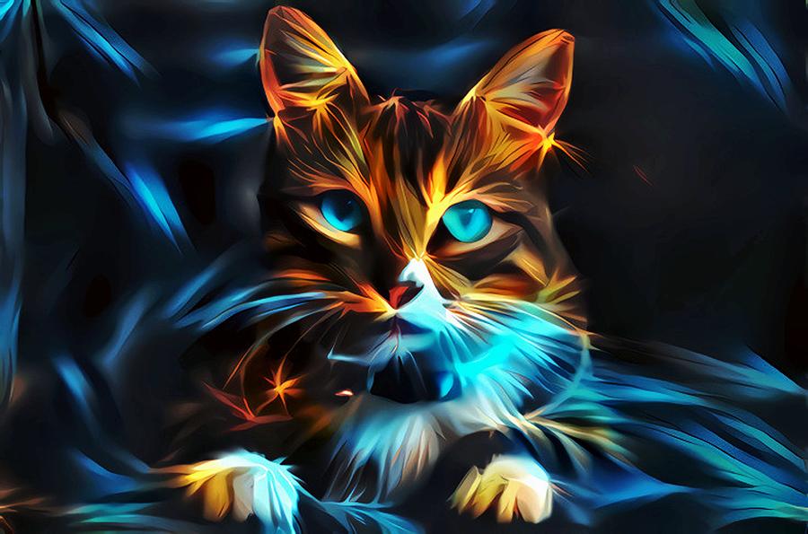 Magic Cat by Acr Acr