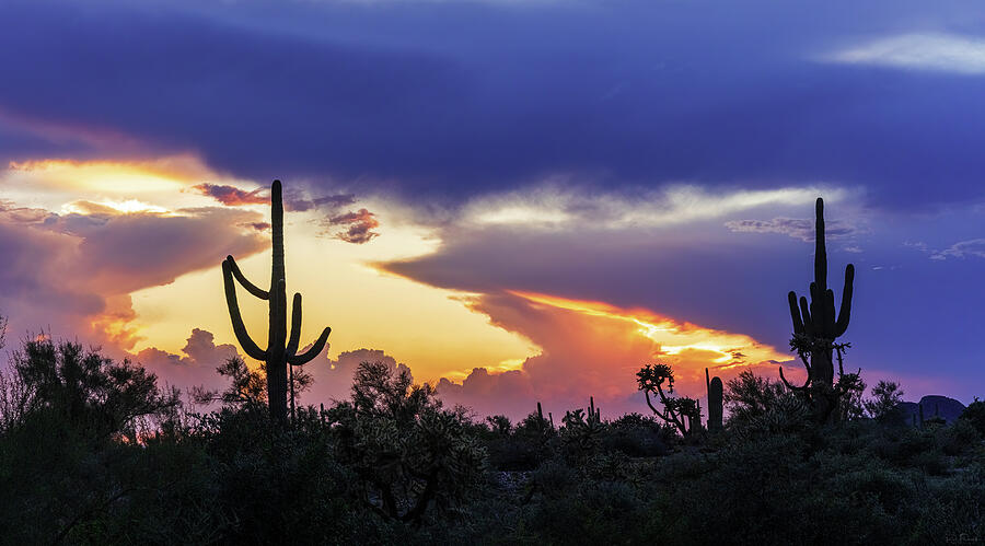 Magic Colors of the Desert Photograph by Rick Furmanek